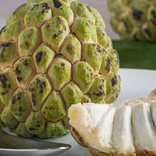 Balanagar custard apple