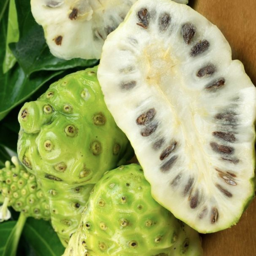 Noni Fruit