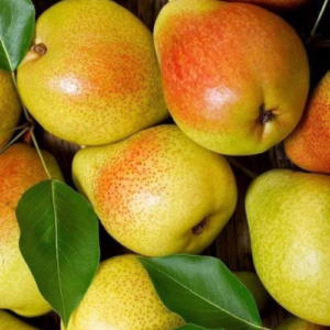 Pear