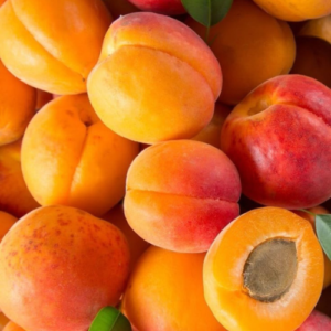 Apricot