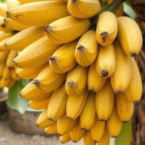 Amruthapani Banana