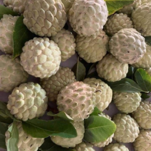 NMK Gold Custard apple