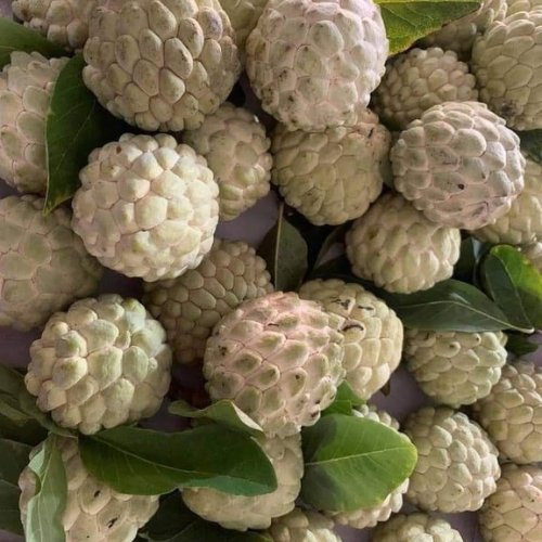 NMK Gold Custard apple