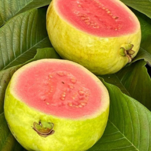 Thai White Guava