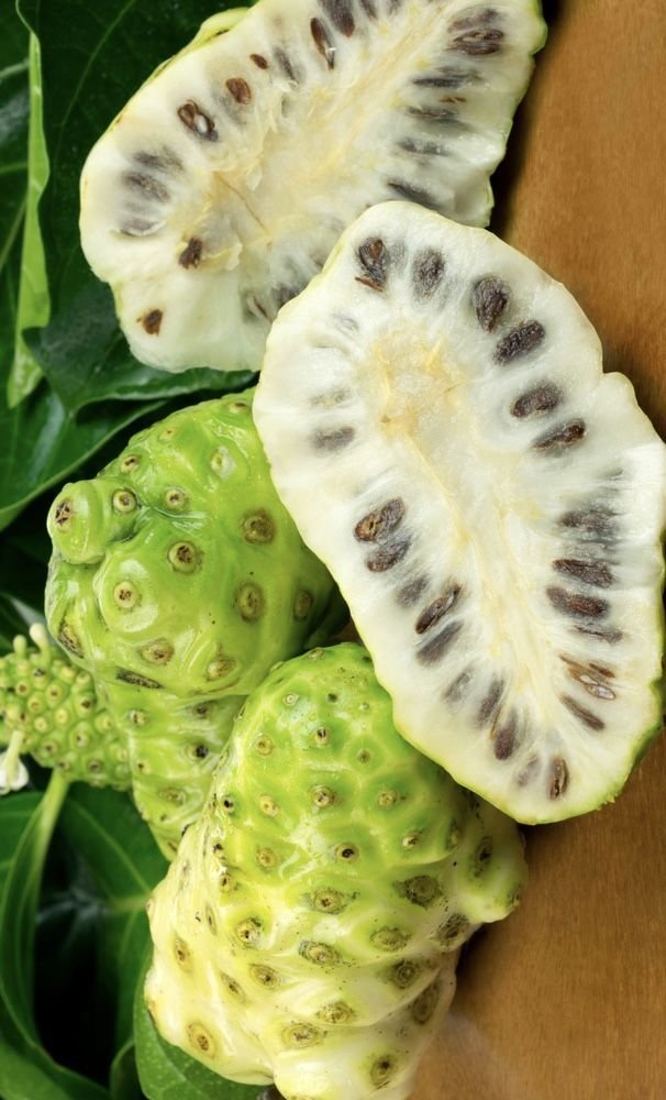 Noni Fruit