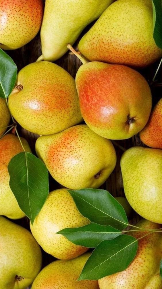 Pear